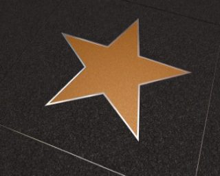 Brad Pitt et Angelina Jolie, une affaire d'état et d'esprit