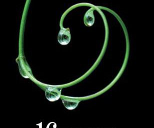 16 lunes de Kami Garcia et Margaret Stohl aux éditions Hachette