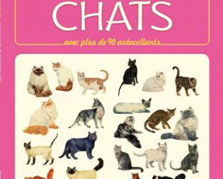 Les chats - sur la piste- Usborne