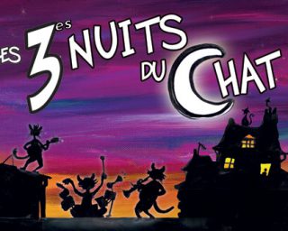 Les 3ème nuits du chat