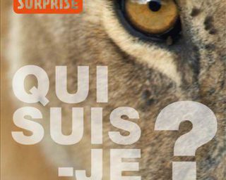 Qui suis-je?