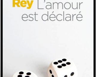 Nicolas Rey - l'amour est déclaré