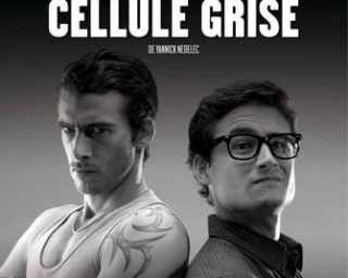 cellule grise