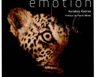 Animal Emotion