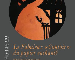 Affiche Galerie 29