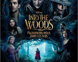 Into the woods