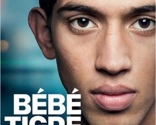 Bébé Tigre