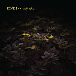 Dive Inn Halflights