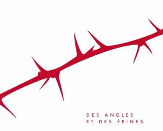 Cabadzi - Des angles et des épines