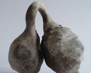 LEs BULBES - ANne-Chantal Pitteloud