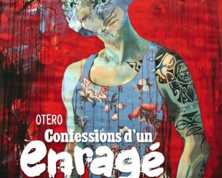 Confessions d'un enragé - Nicolas Otero