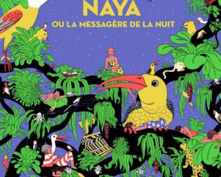Naya ou la messagère de la nuit de Philippe Lechermeier et Claire de Gastold aux éditions Thierry Magnier